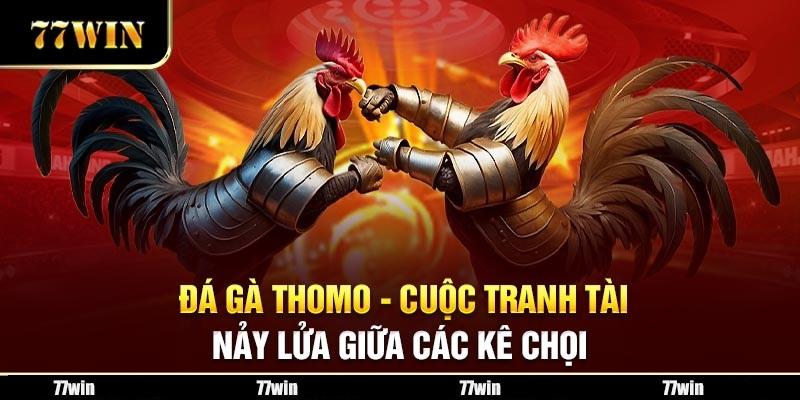 Thông tin khái quát về sân chơi chọi kê thomo 77WIN