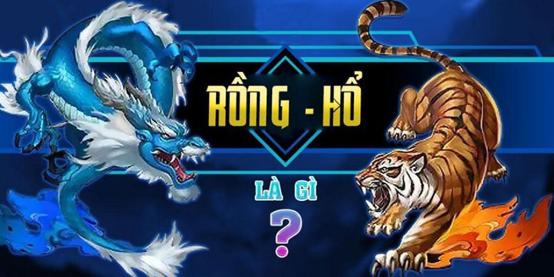 Rồng Hổ là gì? Cách chơi hổ rồng tại 77win