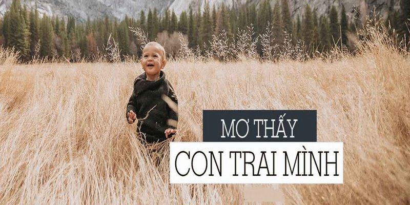 Bật mí mơ thấy con trai đánh con gì cực chuẩn